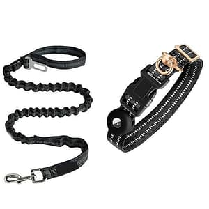 The Collar That Feels Like a Hug