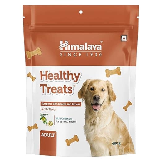 Daily Delight Healthy Dog Treats